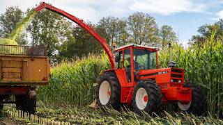 Oldtimer Hakseldag Dalen 2024  Classic maize harvesting  Dozens of tractors amp choppers [upl. by Epuladaugairam290]