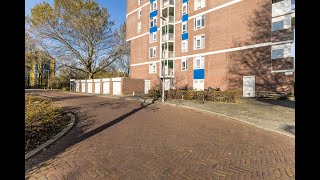 VLIEG Makelaars Logger 26 AMSTELVEEN [upl. by Euqnimod]