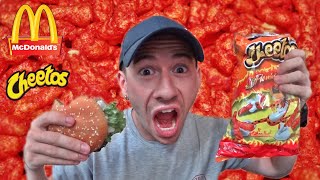 MCDONALDS FLAMING HOT CHEETOS BURGER TASTE TEST [upl. by Eachelle]