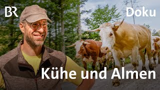 Von Kühen und Almen  Die Holzknechte 27  Bergmenschen  Doku  BR  Bergbauern  Landwirtschaft [upl. by Ajin640]