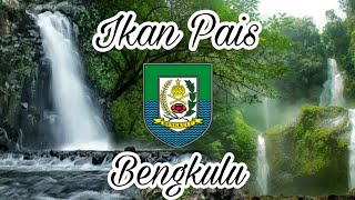 Lagu daerah Bangkulu  Ikan Pais [upl. by Kirsten87]