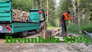 Langeweile im Wald Holz machen [upl. by Leiad278]