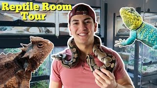 INSANE REPTILE ROOM TOUR [upl. by Poland]