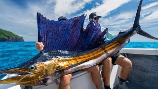 MASSIVE Mexican Sailfish Catch Clean Cook [upl. by Meeka]