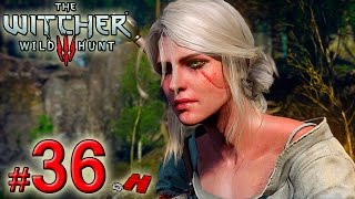 The Witcher 3 Wild Hunt 36 Ciri e o Esconderijo do Filho da Pta Júnior Gameplay PTBR [upl. by Irrej]