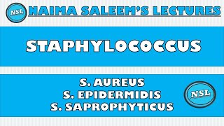 Staphylococcus  S Aureus  S Epidermidis  S Saprophyticus  MicrobiologyLectures NSL [upl. by Eyatnod]