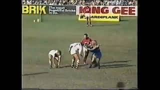 1981 NSWRFL Round 6 Parramatta Eels vs St George Dragons 🐉 Full Match [upl. by Magnien]