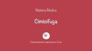 Cimicifuga Actea Racemosa [upl. by Malissia]