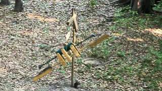 Squirrel teeter totter funny squirrel feeder Orange Park Jacksonville [upl. by Helali]