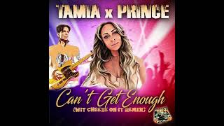 Tamia  Cant Get Enough Wit Cheeze On It Remix [upl. by Osana]