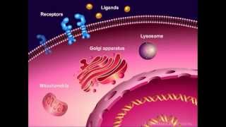 Introduction to Cancer Biology Part 1 Abnormal Signal Transduction [upl. by Laing]