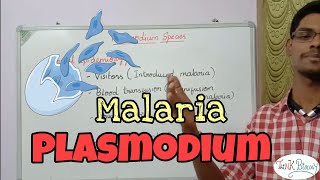 Plasmodium species  Plasmodium falciparam  Plasmodium vivax  Malaria  Tamil  ThiNK VISION tnk [upl. by Atinit]