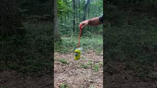 Survival Skills Mosquito and Midge Repellent survival outdoors bushcraft camping [upl. by Adyahs]