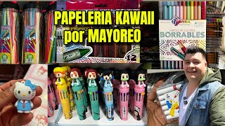 PAPELERIA KAWAII por MAYOREO en CDMX ➡️ 🐼papeleria SUPER ECONÓMICA ✅✅ [upl. by Netsirhk]