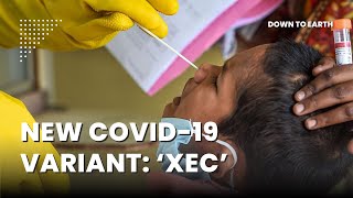 Why is the new COVID19 variant XEC more contagious [upl. by Enyamrahs]