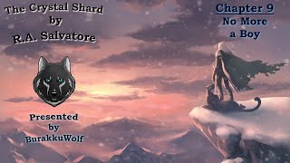 The Crystal Shard  Chapter 9 No More a Boy The Icewind Dale Trilogy Book One [upl. by Illa700]