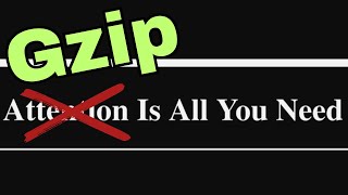 Gzip is all You Need This SHOULD NOT work [upl. by Wing204]