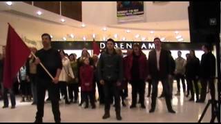 Les Miserables Flash Mob Kingsgate Centre Dunfermline [upl. by Anael398]