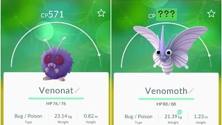 Pokemon Go Venonat571 Evolution to 1000Venomoth [upl. by Joela]