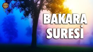 Bakara Suresi  Evdeki Geçimsizliğe Huzursuzluğa Sıkıntılarınıza Şifa  Eyad Mohra [upl. by Terese58]