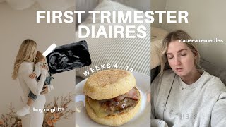 FIRST TRIMESTER VLOG  early pregnancy symptoms gender reveal and nausea remedies 4  14 weeks [upl. by Anail]