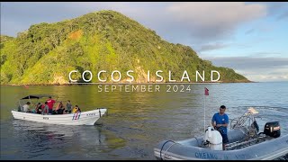 Cocos Island Liveaboard Trip on the Okeanos Aggressor II  SeaCrush September 2024 [upl. by Colner362]