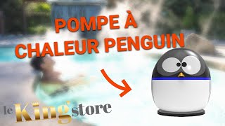 Pompe à chaleur Penguin [upl. by Terrell150]