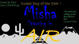 Misha in Air  Final Cut  Cutest pomsky dog in the world Dont miss this installment of the SAGA [upl. by Epner]