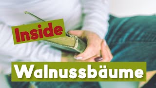 10 interessante Dinge über Walnussbäume [upl. by Eclud697]