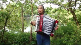 台灣民謠望春風手風琴演奏Taiwanese folk song on accordion [upl. by Alyahc303]