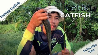 ត្រីអណ្ដែងធំណាស់​ 13kg13kg of very large catfish [upl. by Allegna691]