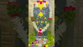 draksharamam subramanianswamy subramanyaswamysongs temple love [upl. by Smeaj]