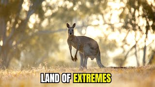 The Untold Story of Australia’s Harshest Desert and Its Wild Inhabitants [upl. by Darleen]