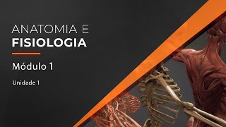 Anatomia e Fisiologia Humana [upl. by Arodasi]