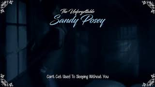 Sandy Posey  Cant Get Used To Sleeping Without You HQ [upl. by Nirtiak]