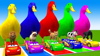 5 Giant Duck CartoonCowElephantGiraffeTigerLion Paint Wild Animals Crossing Fountain Animation [upl. by Scever]