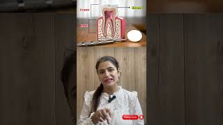 Structure of a Tooth Explained  Crown Root Enamel Dentine amp More biology facts [upl. by Yerhpmuh760]