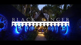 Black Ginger [upl. by Whyte]