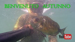 Pescasub  PRIMA PESCATA di ottobre con un fucile DEVASTANTE [upl. by Astrix]