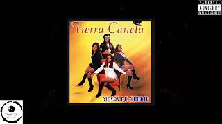 Tierra Canela  Siempre Te Amare Remix Dj Fernando [upl. by Yoong]