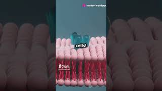 What is the Plasma Membrane biology facts cellbiology science quiz education genetics [upl. by Azelea]