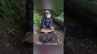 9lb common from carleton hill fishery fishing carp carpworld carpfishing fish carping carpy [upl. by Alyaj]