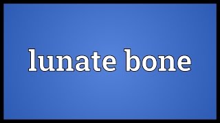 Lunate bone Meaning [upl. by Ellehcit23]