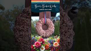 Brians Birdseed Wreaths  Sold on Amazon [upl. by Betti]