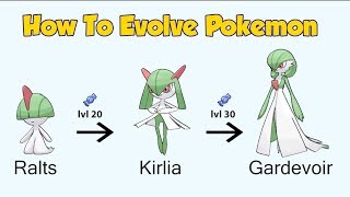 How To Evolve Pokémon  Generation 3 Hoenn Animated Sprites [upl. by Norihs90]