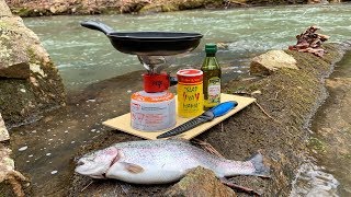 Creek Side TROUT CATCH and COOK [upl. by Hailed]