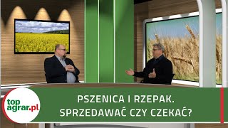 Rolniczy temat 1 Pszenica będzie po 1000 czy po 1500 zł [upl. by Vassili667]