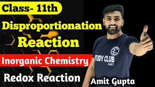 Disproportionation Reaction  Redox Reaction  Class 11  Chapter 8  Chemistry  Amit Gupta [upl. by Mace]