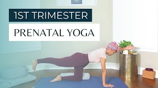 Prenatal Yoga for the First Trimester  Pregnancy Yoga for Beginners  Early Pregnancy Yoga Sequence [upl. by Nad]