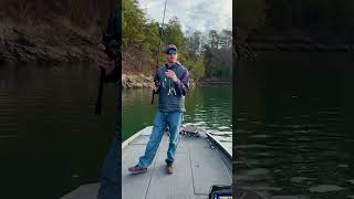 Alabama Rig Fishing Tip wMattBeckerFishing fishingtips bassfishingtips [upl. by Neersan590]